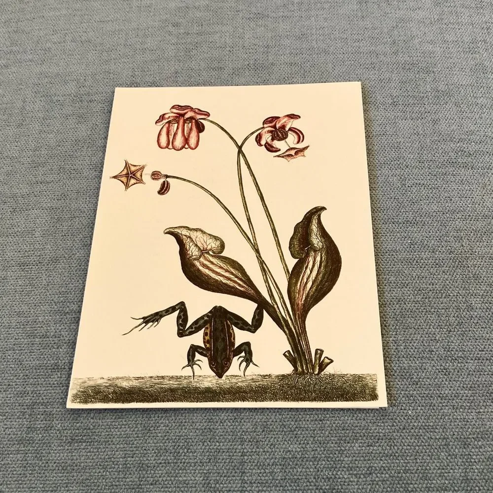 The Water Frog The Colonial Williamsburg Foundation Card